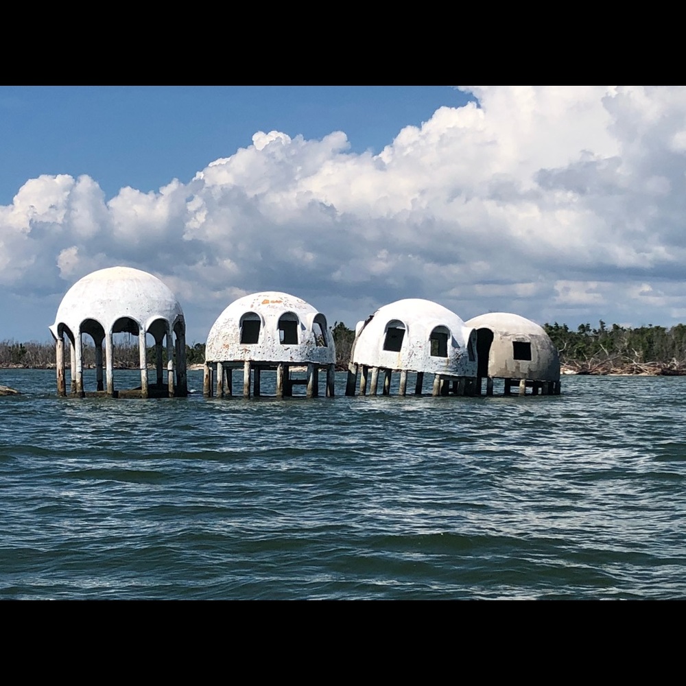 Meet your Posher, Jesse